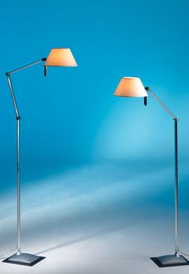 Petite floor/Floor Lamp