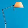 Petite floor/Floor Lamp