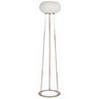 86817A/Floor Lamp